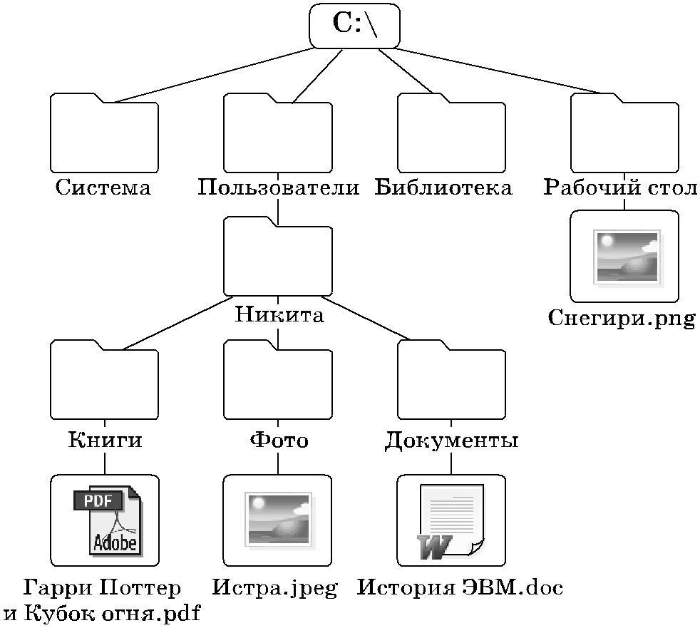 Работа с 2 каталогами. Дерево каталогов Информатика 7 класс. Дерево файловой системы компьютера. Информатика 7 класс файлы и файловые структуры. Дерево каталогов.