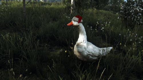 Для The Witcher 3: Wild Hunt вышел мод с рождественскими гусями в шапках Санта-Клауса