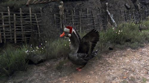 Для The Witcher 3: Wild Hunt вышел мод с рождественскими гусями в шапках Санта-Клауса