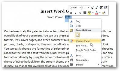 Как в MS Word создать счетчик слов, используя коды полей - Информационные технологии