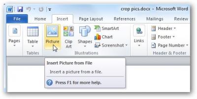 Как обрезать картинки в Word, Excel и PowerPoint 2010 - Информационные технологии - Информатика