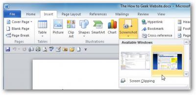 Как делать скриншоты в Word 2010? - Информационные технологии - Информатика